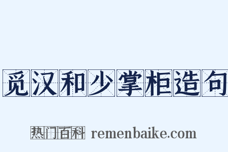 觅汉和少掌柜造句是什么意思的图片